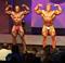 GNC Pro k�pgal�ri�nk
