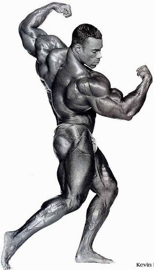 http://www.fitnesspont.hu/mass-shop/picture_gallery/Kevin_Levrone/Levrone_09.jpg