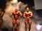 Kattints a k�pgal�ria megtekint�s�hez!