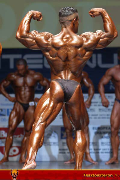 http://www.fitnesspont.hu/mass-shop/picture_gallery/Testepito_Amator_Europa-bajnoksag/2004/EB_2004_021.jpg