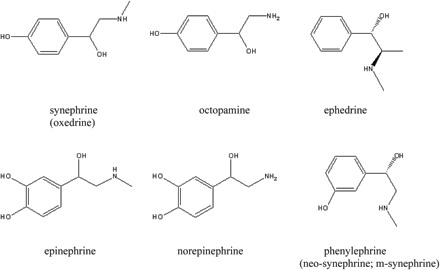 A synephrine �s rokon vegy�letei